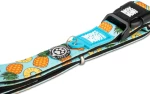 Περιλαίμιο Max & Molly Sweet Pineapple Medium 2x34-55cm