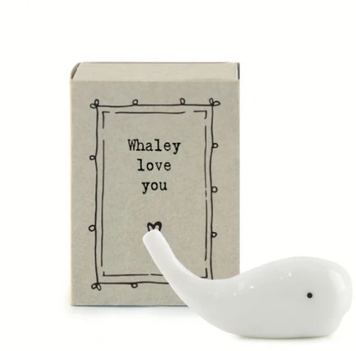 ΣΠΙΡΤΟΚΟΥΤΟ - ΦΑΛΑΙΝΑ 4,5X3,4ΕΚ.