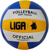 VOLLEYBALL BLOCKER (Green/Red/White) LIGASPORT^