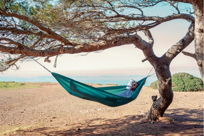 Αιώρα Travel Set jungle