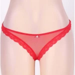 Cheeky Red Fishnet Panty