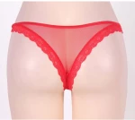 Cheeky Red Fishnet Panty