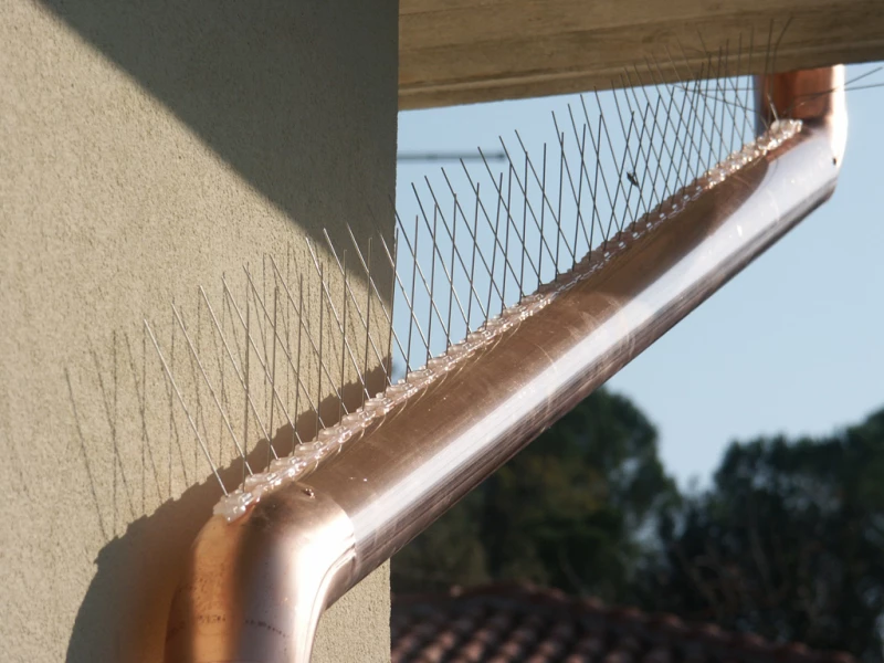 Ακίδες Απώθησης Πουλιών 0.5m