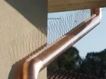 Ακίδες Απώθησης Πουλιών 0.5m