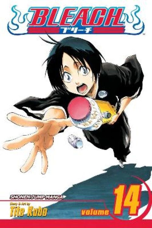 BLEACH 14  PA