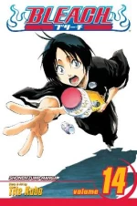 BLEACH 14  PA