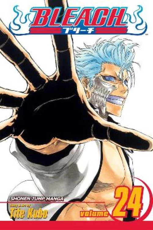 BLEACH 24  PA