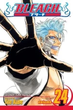 BLEACH 24  PA