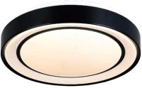 InLight Πλαφονιέρα οροφής LED 36W 3000K από μαύρο μέταλλο και ακρυλικό D:50cm 42179-A