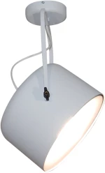HL-3599-1S ARCHIE BLACK CEILING HOMELIGHTING 77-4227