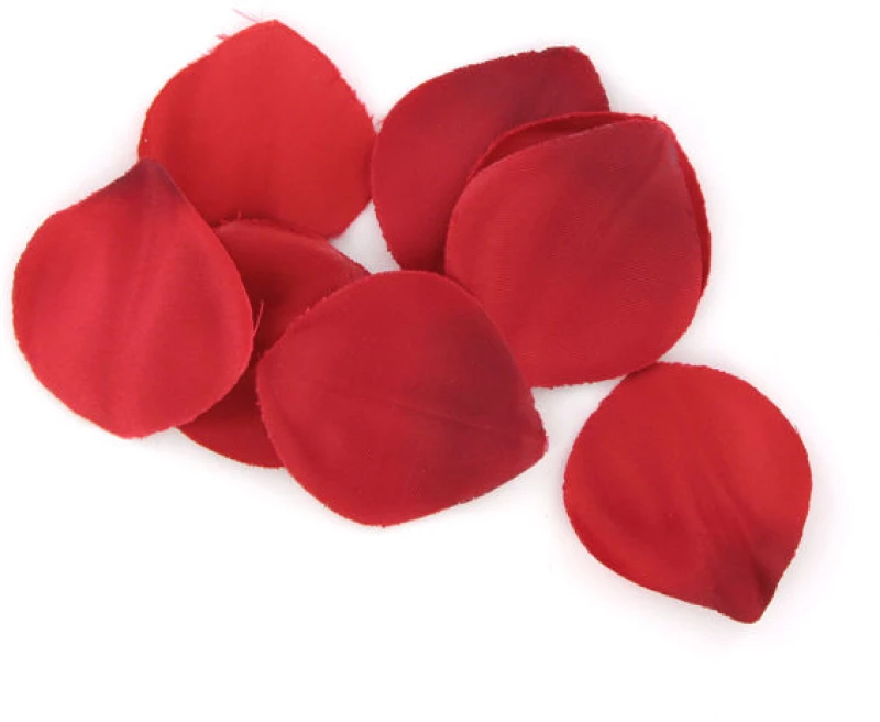 EXTASE SENSUEL COFFRET ROUGE TENTATION