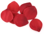 EXTASE SENSUEL COFFRET ROUGE TENTATION