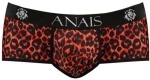 ANAIS MEN - TRIBAL BRIEF