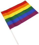 PRIDE - LGBT FLAG LARGE PENNANT