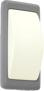 it-Lighting Wilson 1xG9 Outdoor Up-Down Wall Lamp Grey D:23cmx11cm 80202834