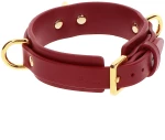 D-Ring Collar Deluxe