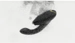 WOMANIZER DUO 2 BLACK
