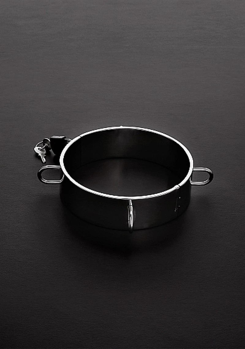 Collar for the Dungeon