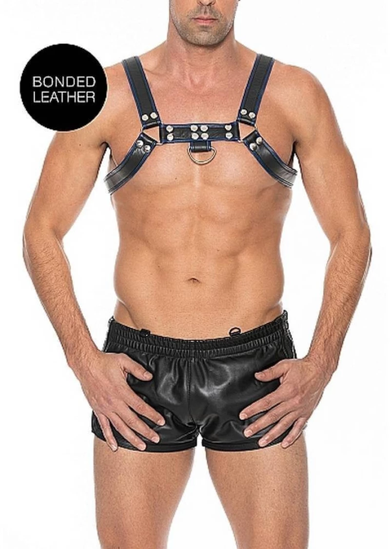 Chest Bulldog Harness - Blue