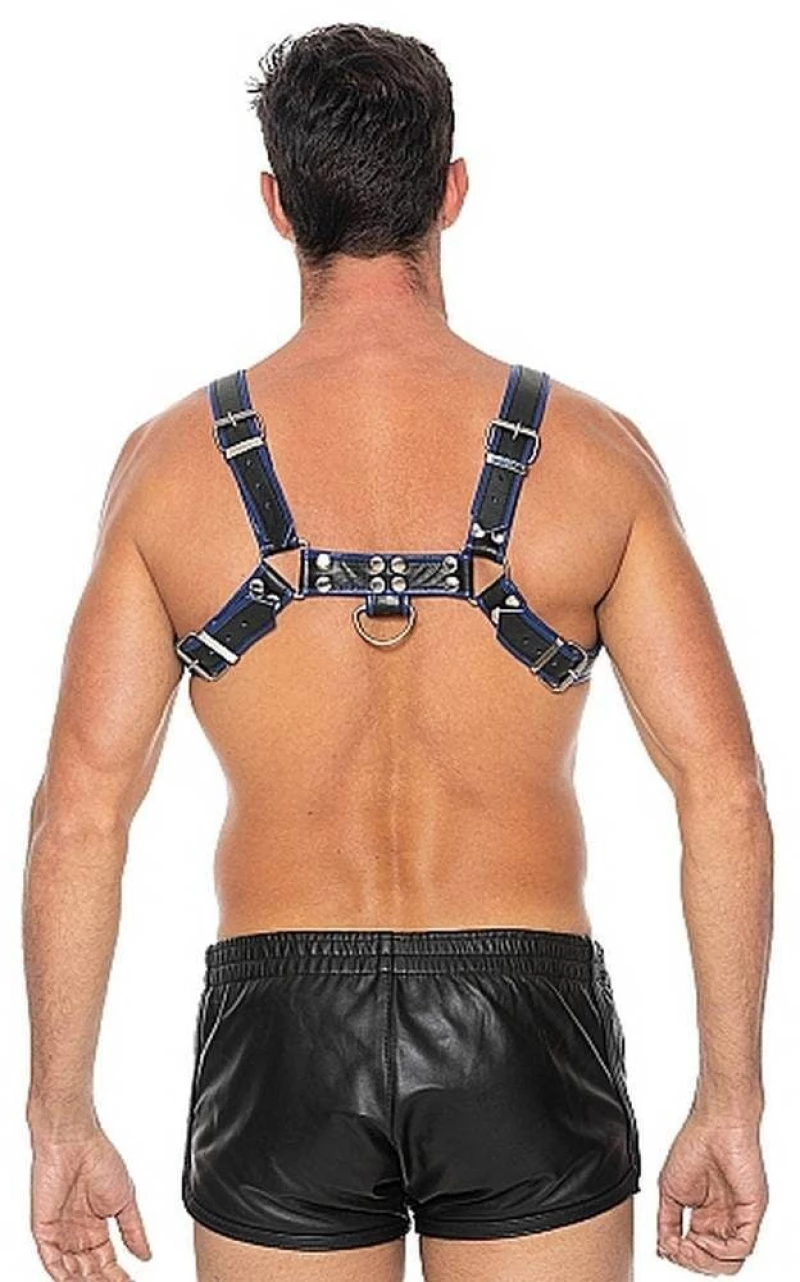 Chest Bulldog Harness - Blue