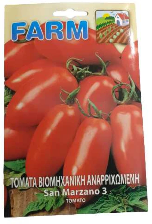 Τομάτα βιομηχανική San Marzano 3