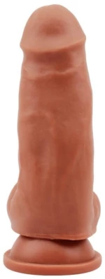 Dildo Lecher-Latin