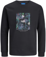 Μπλούζα φούτερ "Silverlake" μαύρη (Μαύρο)