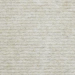 Μοκέτα Resine 1005 White Fasilis 200X...