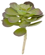 Τεχνητό Φυτό Hen Succelent Pick PT3657 Green Present Time Πλαστικό