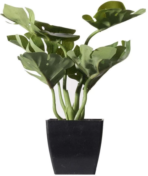Τεχνητό Φυτό Μονστέρα Deliciosa 9060-6 14x18x22cm Green Supergreens Πολυαιθυλένιο