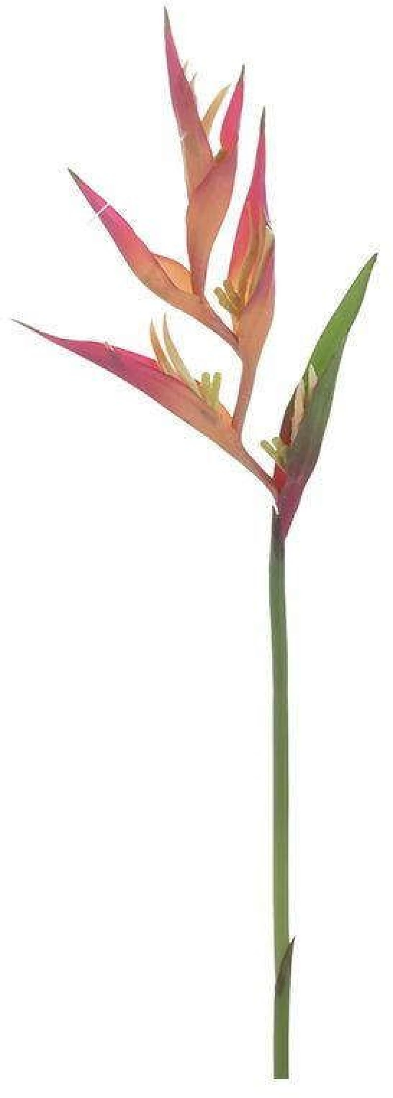 Διακοσμητικό Κλαδί-Φυτό 3-85-246-0264 78cm Multi Inart Πλαστικό