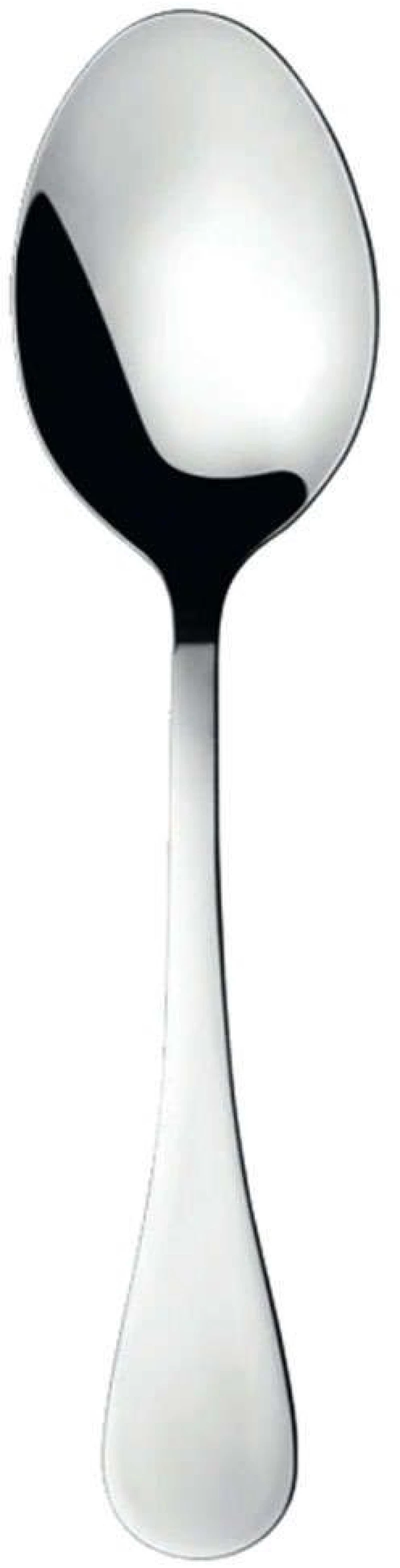 Κουτάλι Φρούτου Rocco 01430 18,5cm Inox Herdmar Ανοξείδωτο Ατσάλι