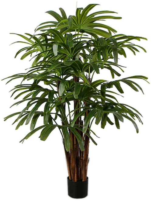 Τεχνητό Δέντρο Ράπις Εxcelsa 5080-6 70x140cm Green Supergreens Πολυαιθυλένιο
