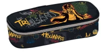 ΚΑΣΕΤΙΝΑ ΤΕΤΡΑΓΩΝΗ  HARRY POTTER 234341