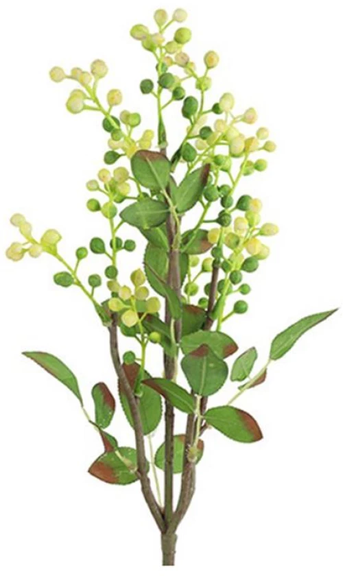 Prunus κλαδί κίτρινο