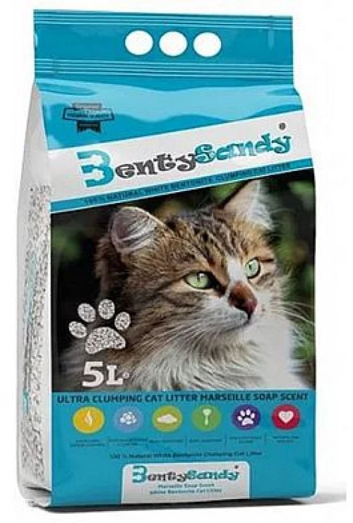 Bentysandy  Bentysandy  Φυσική - 10lt