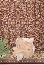 Κλασικό Χαλί Sherazad 6461 8302 RED Royal Carpet - 140 x 190 cm