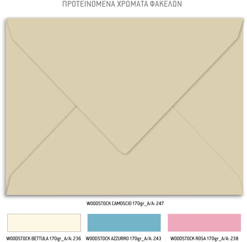Προσκλητήριο βάπτισης για δίδυμα Δίδυμα αρκουδάκια TS461