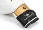 Boxing gloves Yakmaspor lion 12 oz 10034212OZ