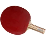 Atemi 500 table tennis bats