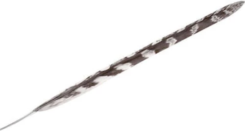 Φτερό μπεζ 90cm Espiel FTE141Κ6