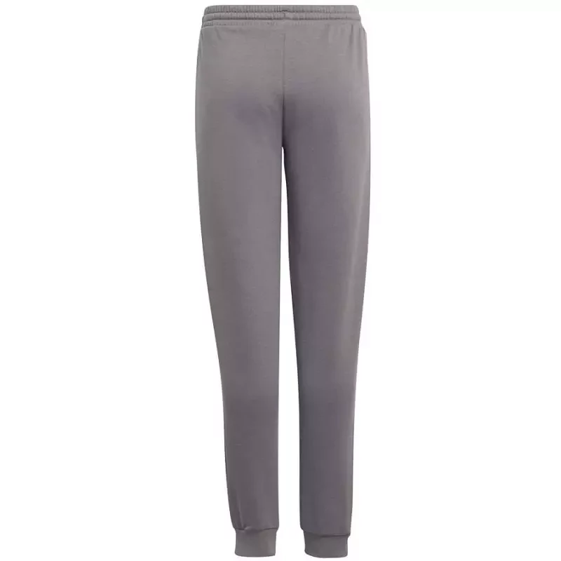 Pants adidas Entrada 22 Sweat Panty Y Jr H57519