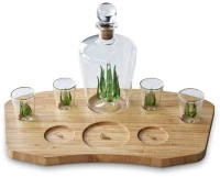 Mikamax® Tequila Decanter Set 840ml