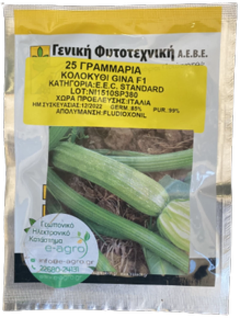 Κολοκύθι Gina F1 | 25gr
