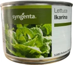 Μαρούλι Ίσιο Ikarina | 5000 pills