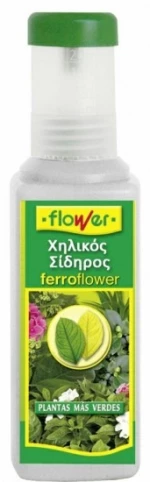 Υγρός Χηλικός Σίδηρος |250ml
