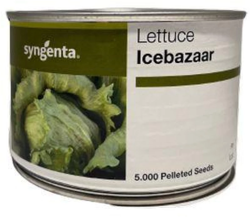 Μαρούλι Ice Bazzar | 5000 Pills