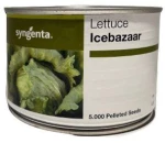 Μαρούλι Ice Bazzar | 5000 Pills