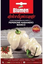 Πιπεριά Habanero Bianco(Εξαιρετικά Καυτερή)