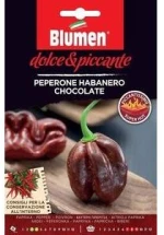 Πιπεριά Habanero Chocolate(Πολύ Καυτερή)